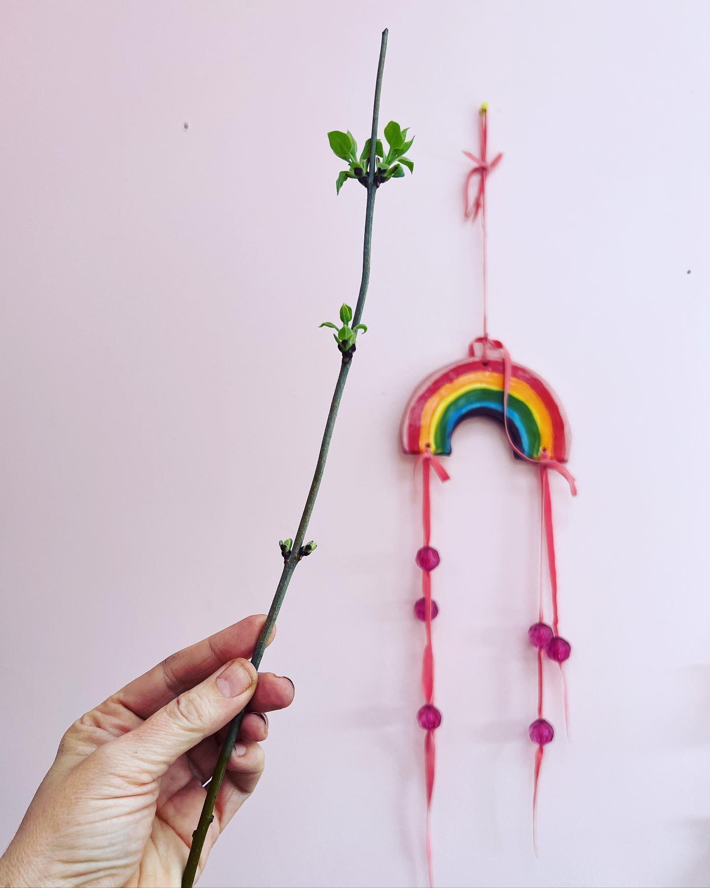 A lilac wand/a celebration of small wonders/ a sign of spring&hellip;
.
.
ID a white hand in left corner holds a small twig of lilac that is sprouting leaves. Background pale pink wall with ceramic wall hanging. 
#wand #queerwitch #rainbow #lilac #pr