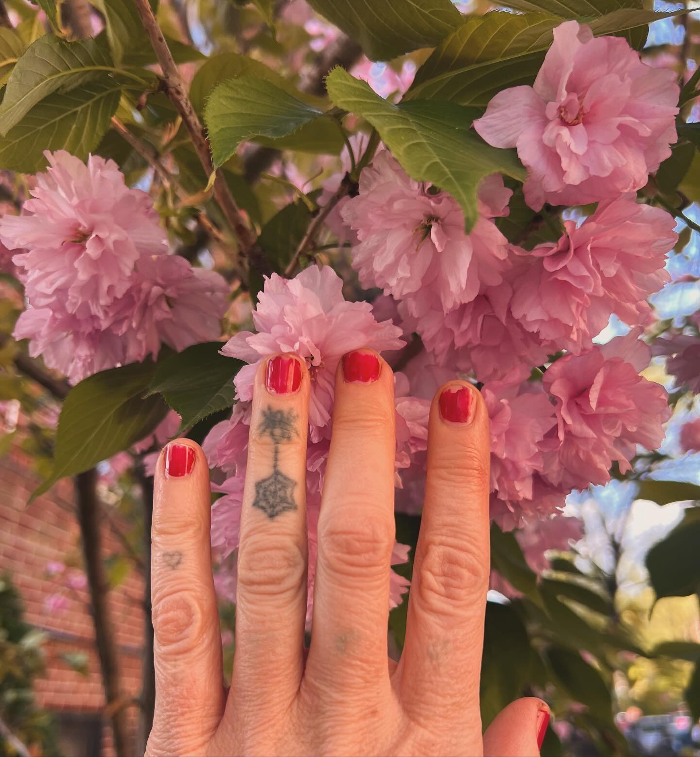 Happy Taurus Season my loves! To celebrate I&rsquo;m having a little sale. 25% off with code FLOWER 
.
.
.#Taurus #taurusseason #cherryblossom #spring #ceramic #handmade #pink