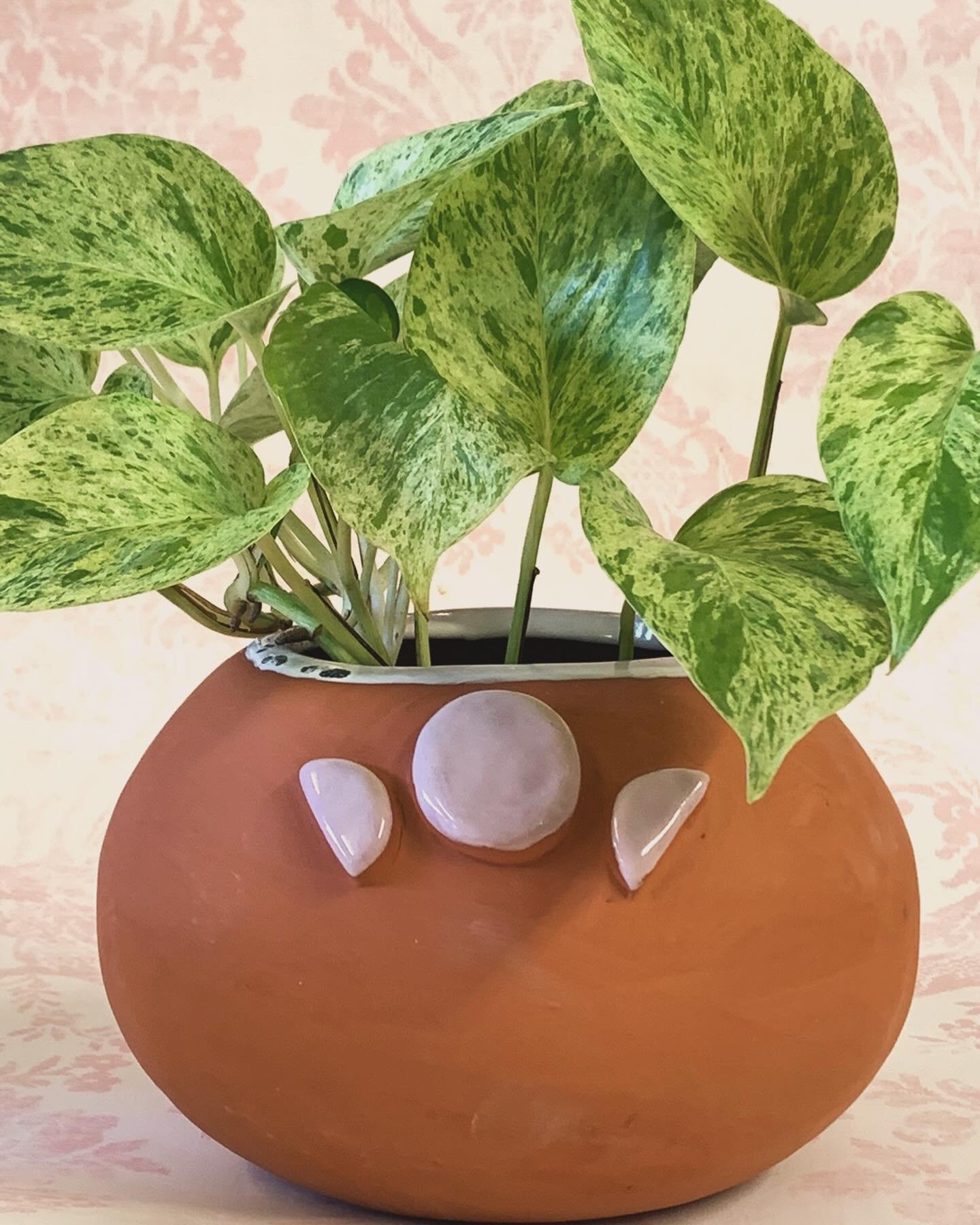 I have been digging into my archive for inspiration. 2020 pink moon planter. I think it&rsquo;s time to make some new magical terracotta planters. Don&rsquo;t ya think?!?
.
.
.#terracotta #handmade #pinkmoon #houseplants