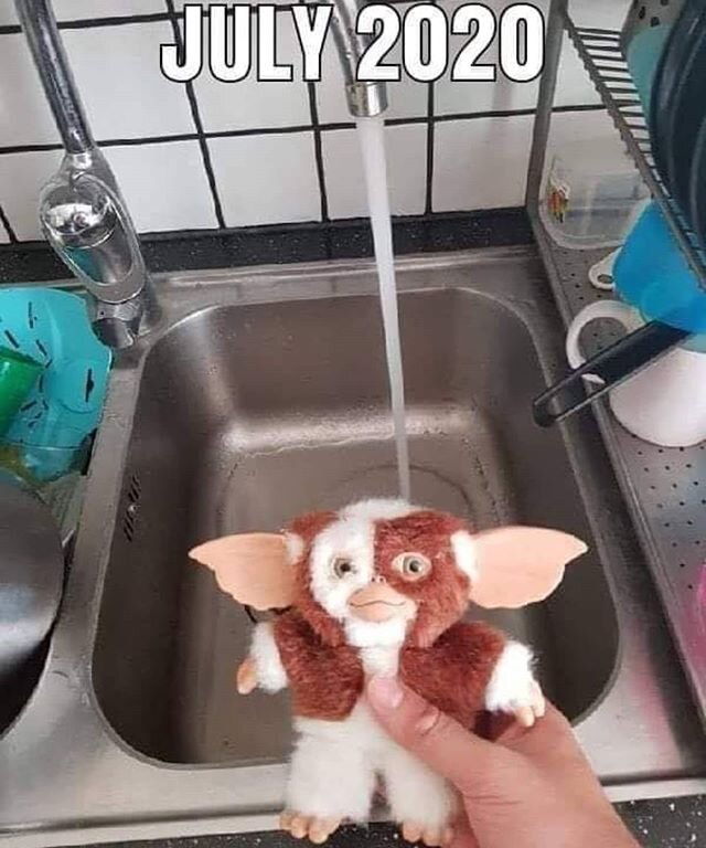 Here comes July .
.
.
.
.
#merchantserviceinnovations #july #july2020 #2020 #magwai #gremlins #gizmo #pandemic #endoftheworld #whatsnext #lol #meme #memes #memer #dankmeme #dankmemes #funnymemes