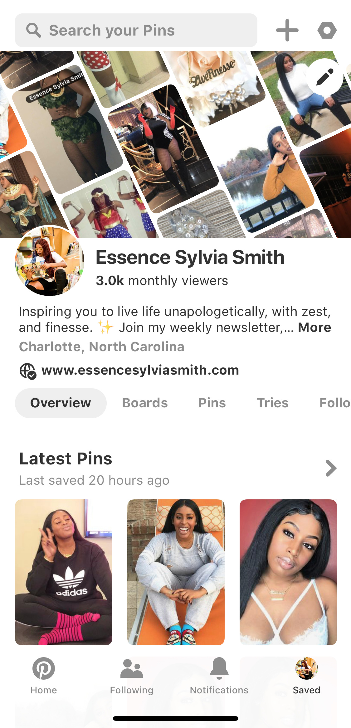 This isn’t exactly where I began but this shows that my account had low viewership. Honestly, I started to use Pinterest because I heard it can you grow your brand. I was only posting content my own content.