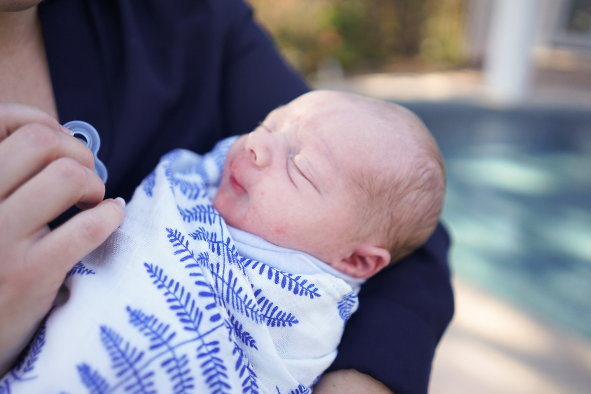 the-sprouting-image-baby-wilder-3.jpg