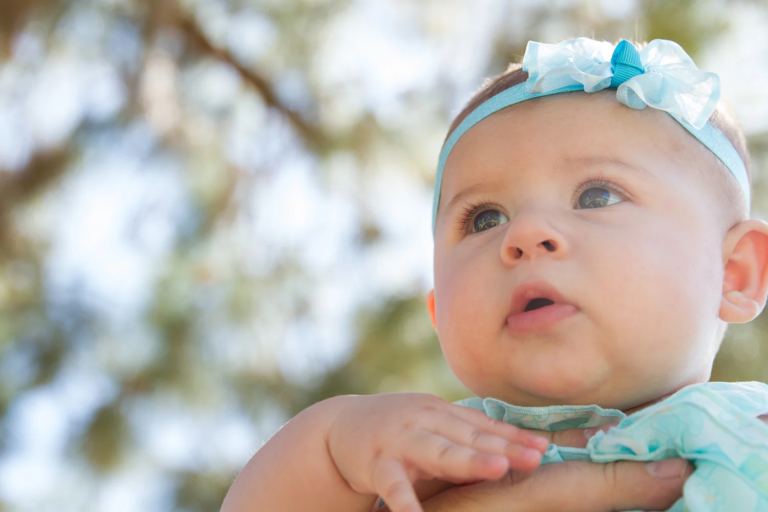 Family-Photos-Seattle-Babies.jpg