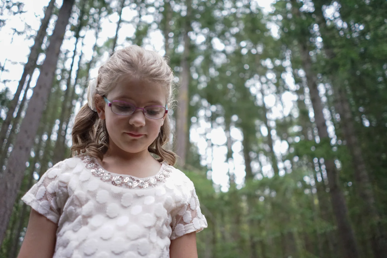 kiddo-trees-1.jpg
