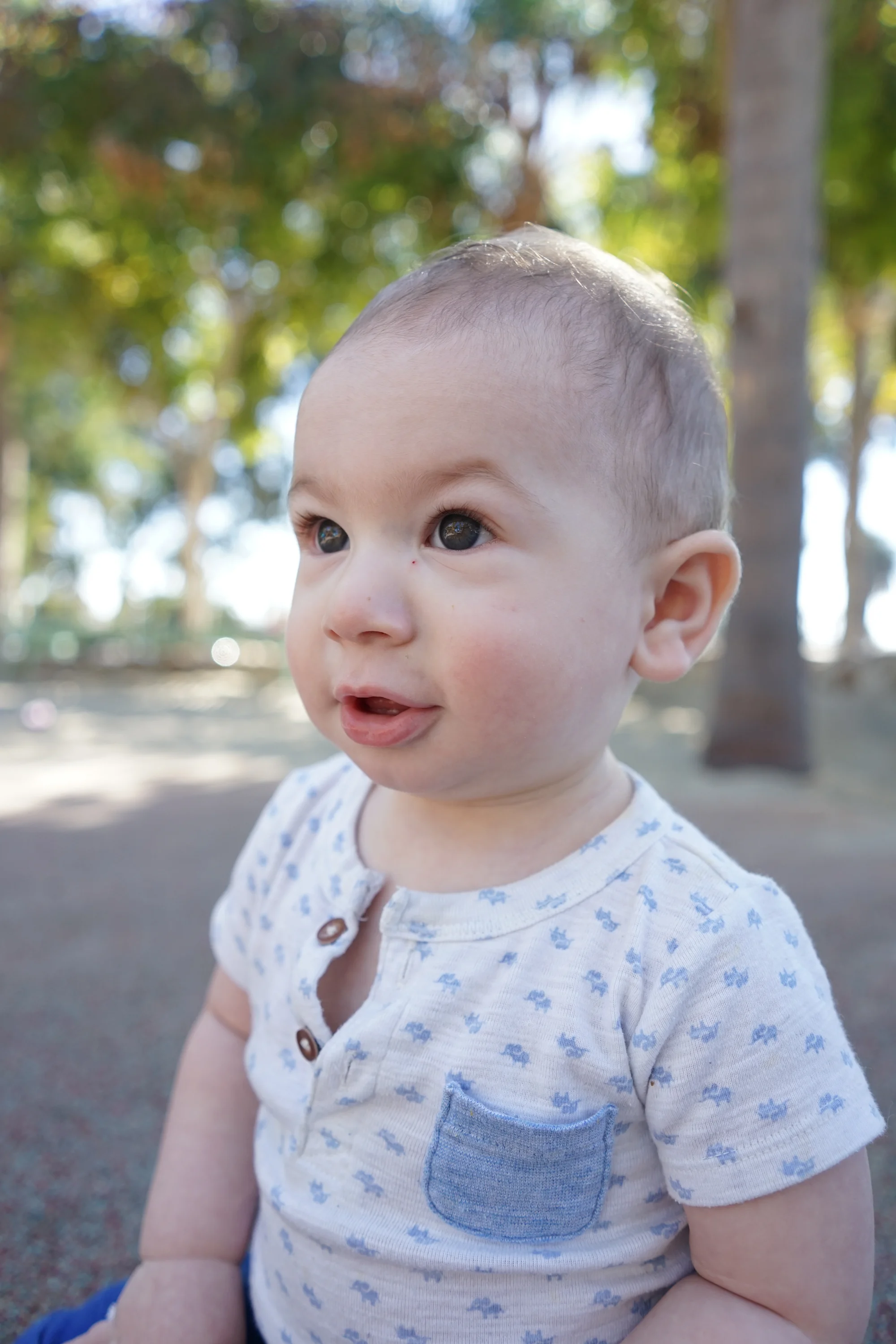 jude-ca-1-1.jpg