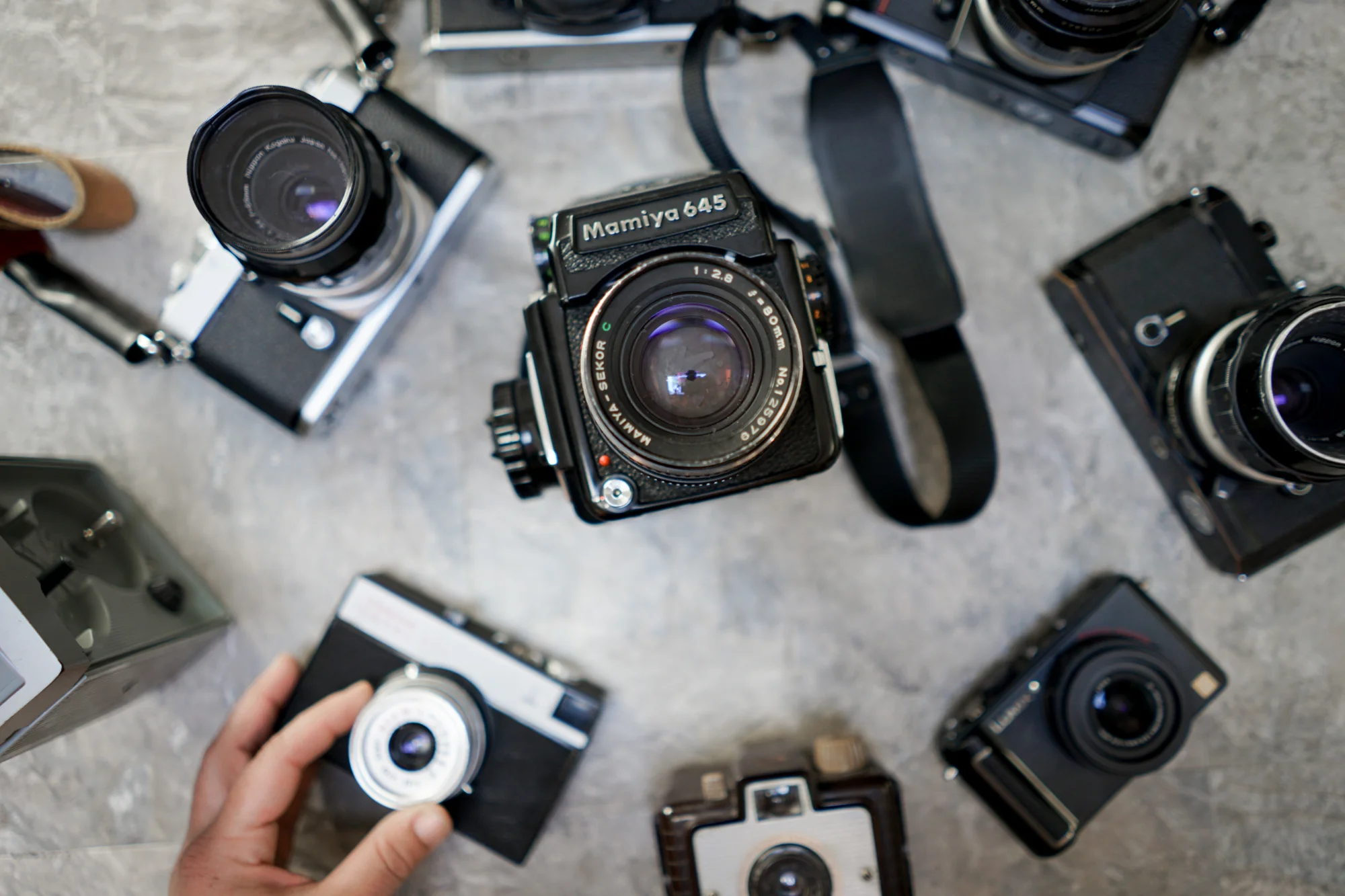 samm-sprouts-cameras-1.jpg