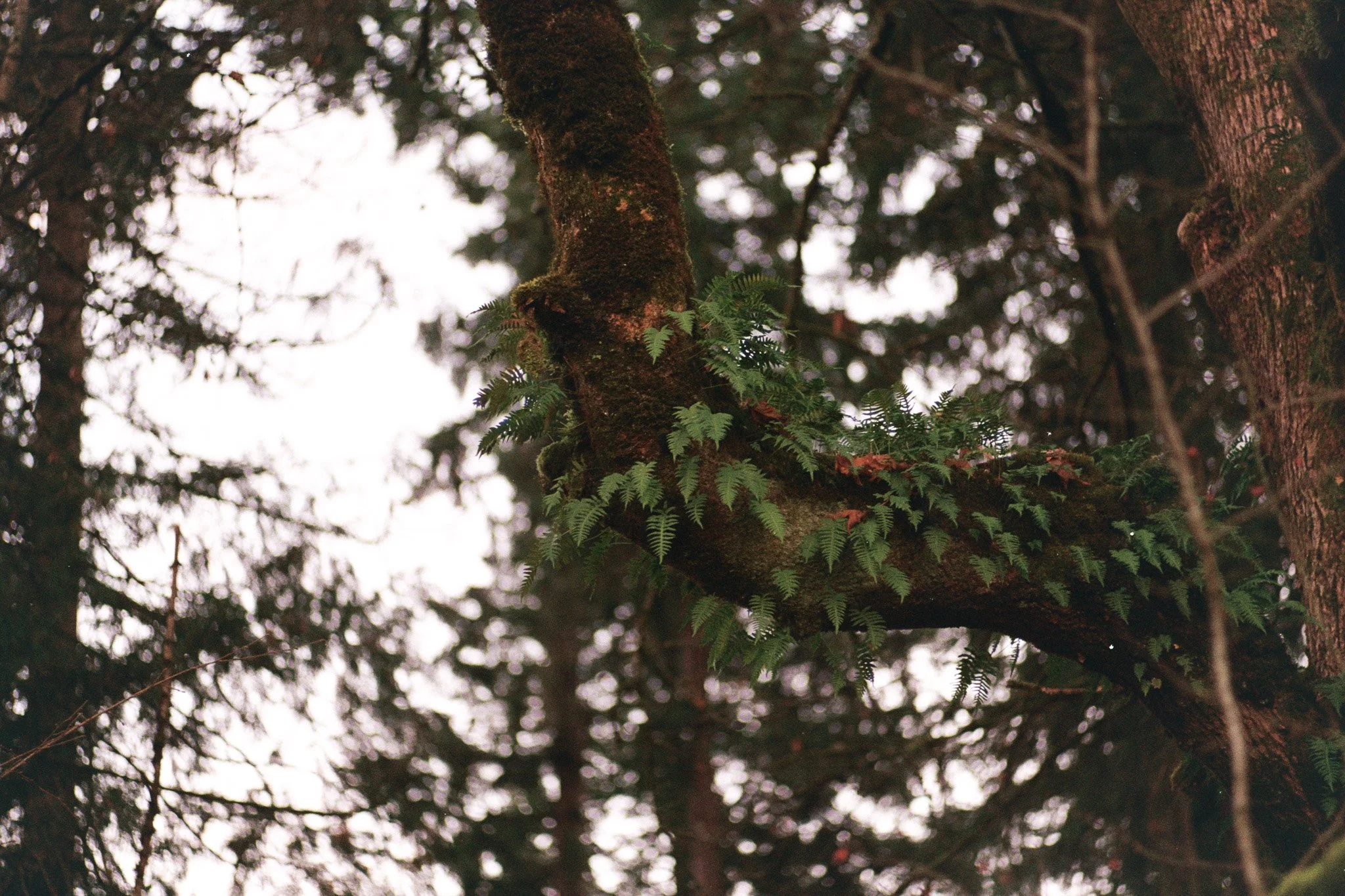 AA007.jpg