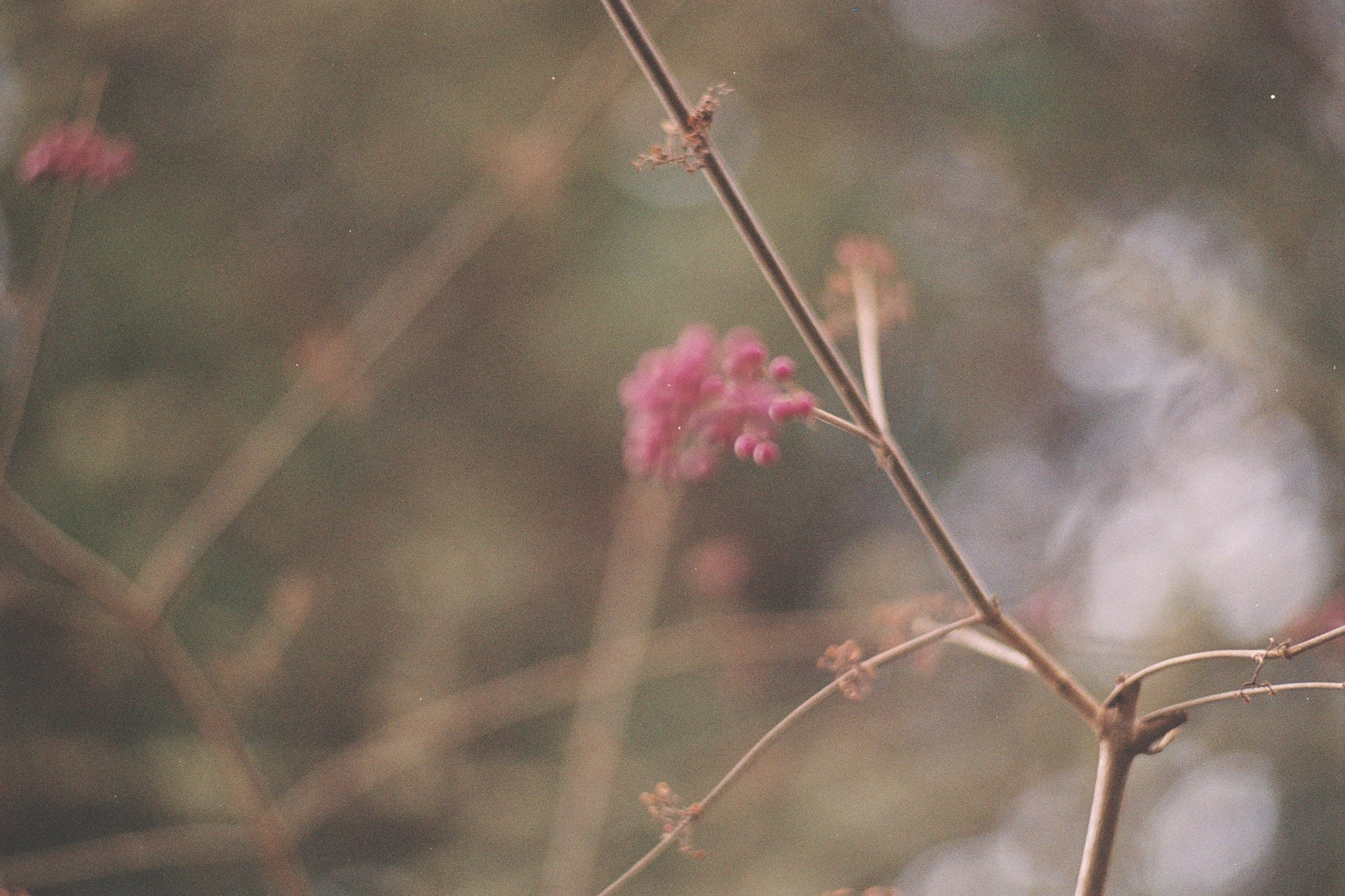 AA006.jpg