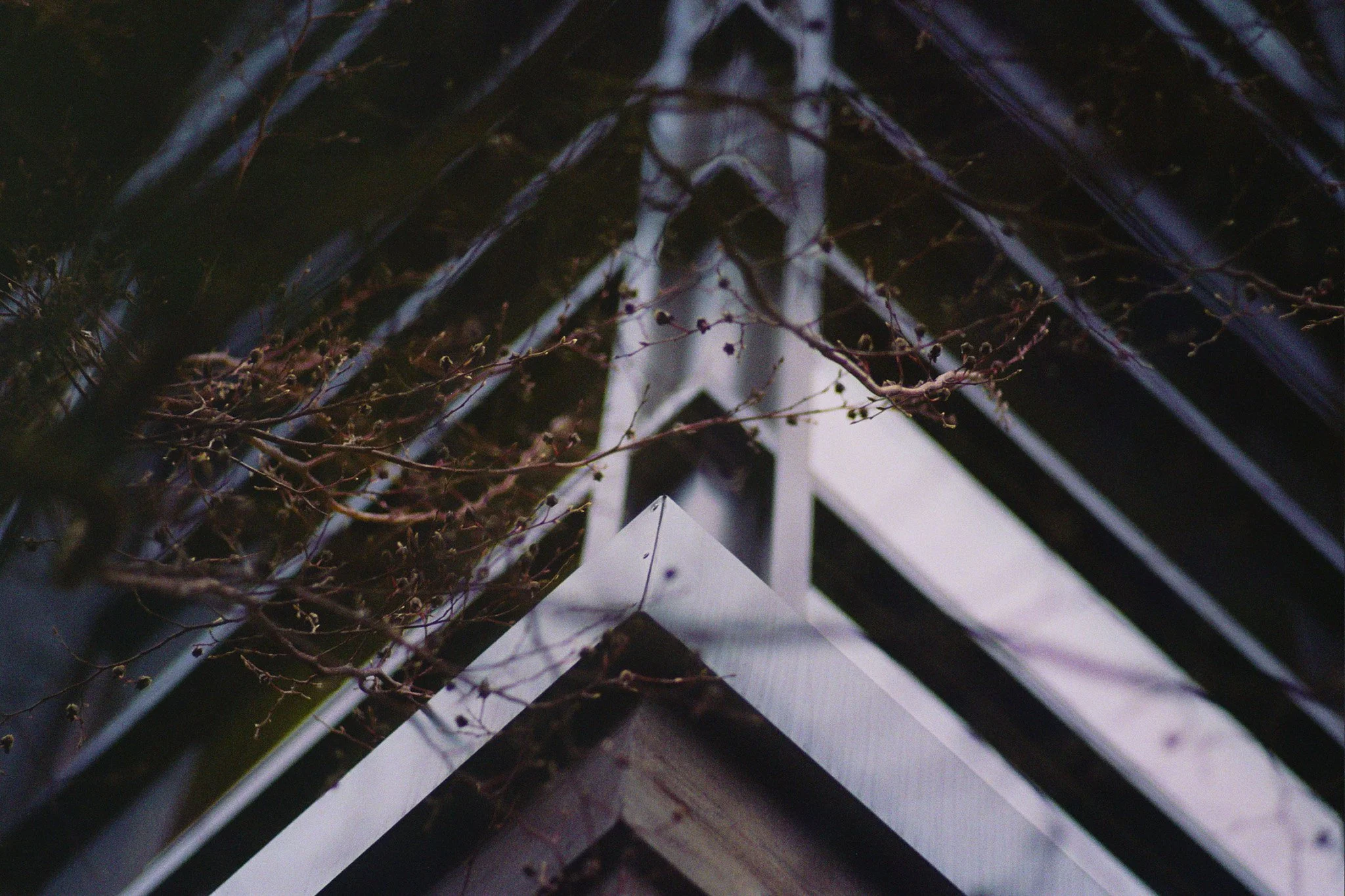 10A_0340.jpg