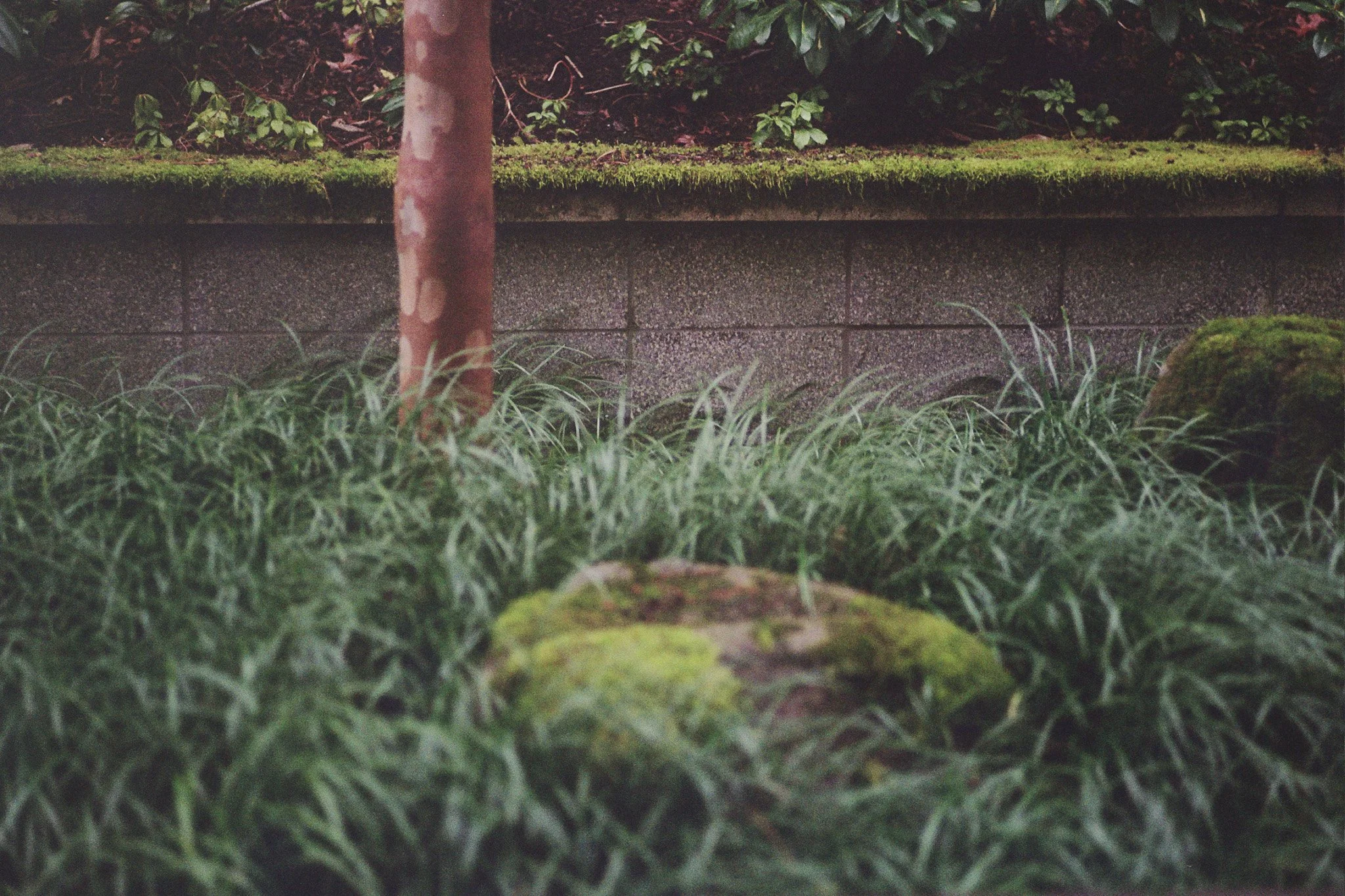 _8A_0338.jpg