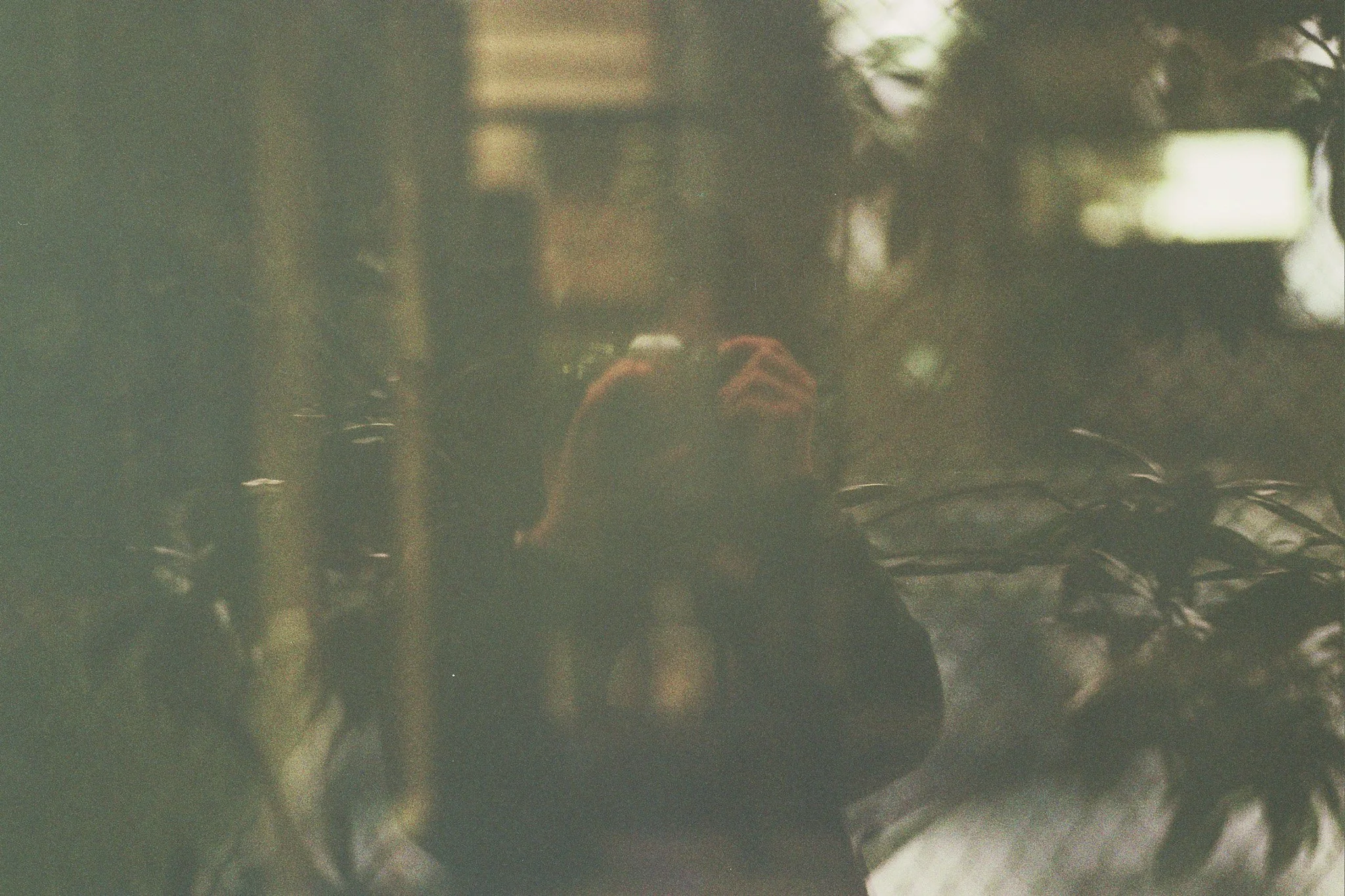 _4A_0334.jpg