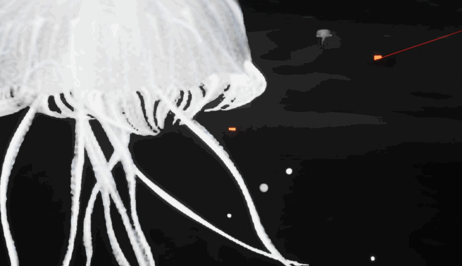 Light creatures