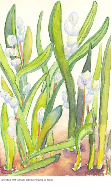 1a-April's-Buds-4-5-2018-.jpg