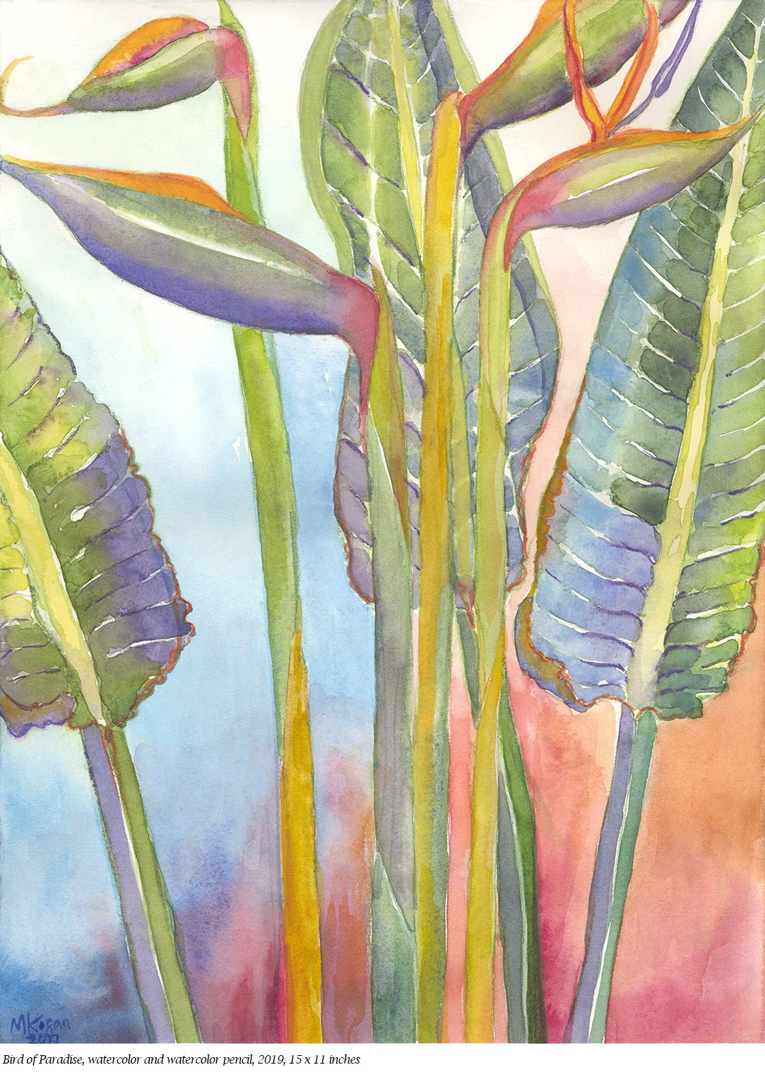 1-Bird of Paradise -m kogan --website-2-9-2019 .jpg