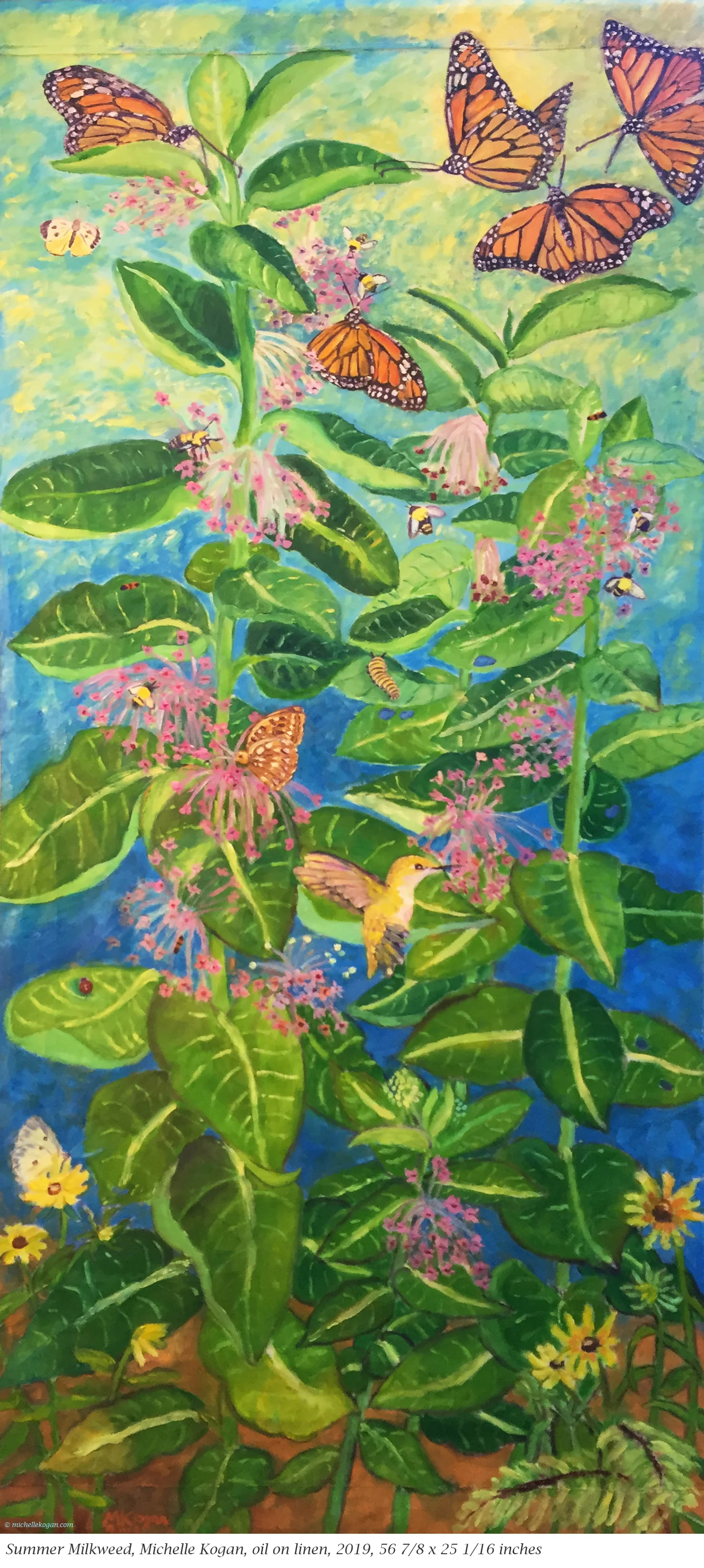 1- Summer Milkweed -website with ID 30 point -8–6-2019 copy 2.jpg