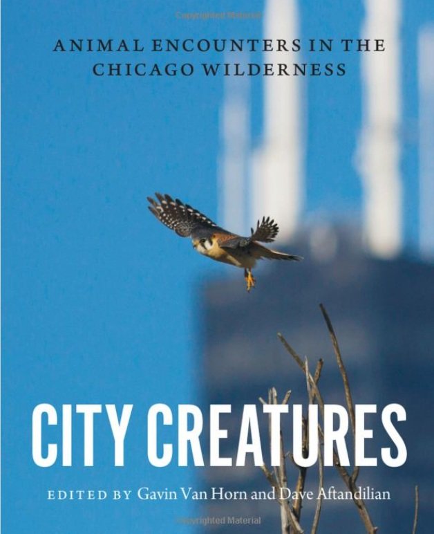   City Creatures, Animal Encounters in the Chicago Wilderness Edited by Gavin Van Horn and  Dave Aftandilian  University of Chicago Press ©2015    Michelle’s art inside book: Wildlife Comes to Lake Shore Drive, endangered species.  