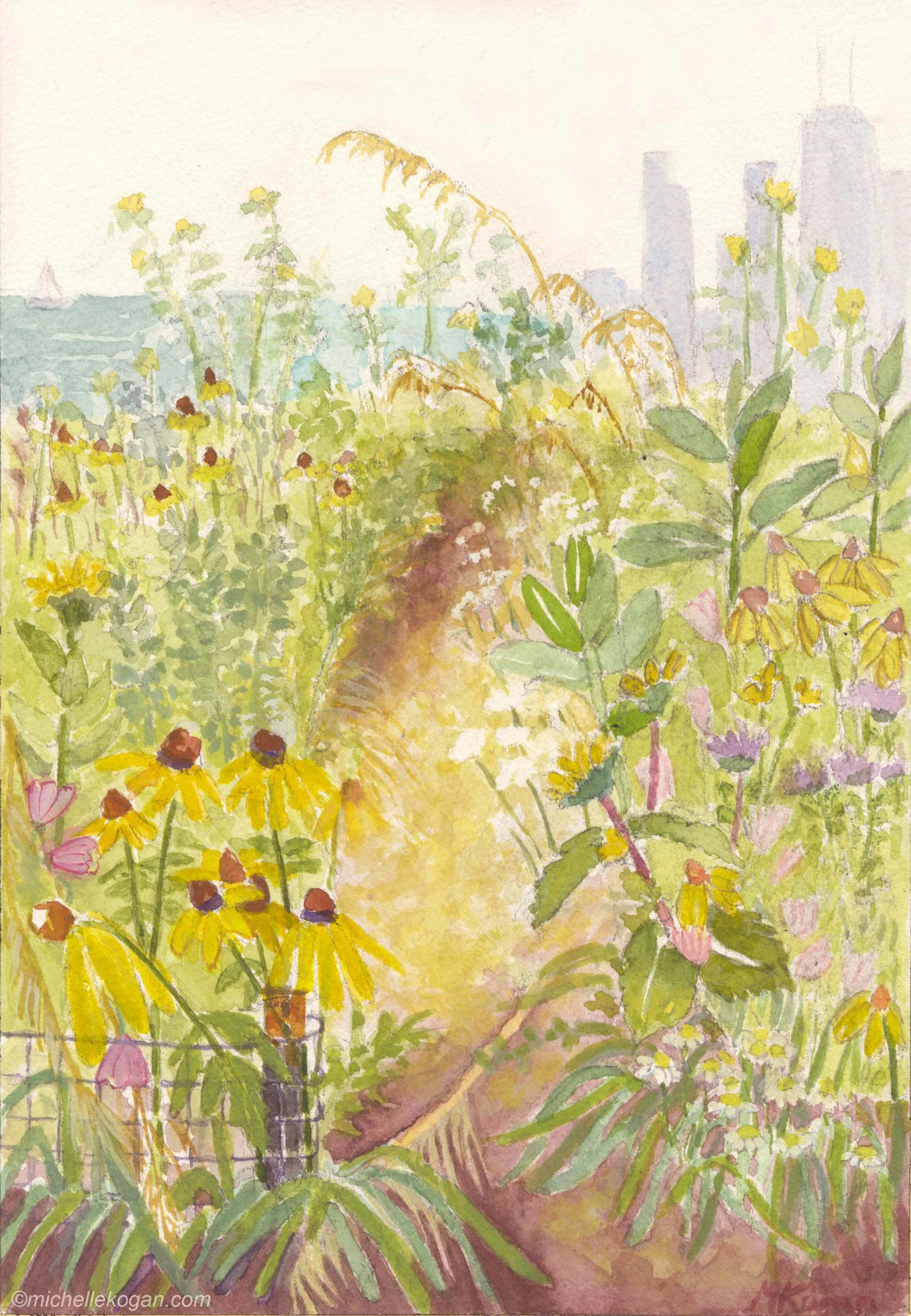 Montrose Bird Sanctuary Summer 2025, watercolor, 10 3/16” x 7 1/16,” 2025