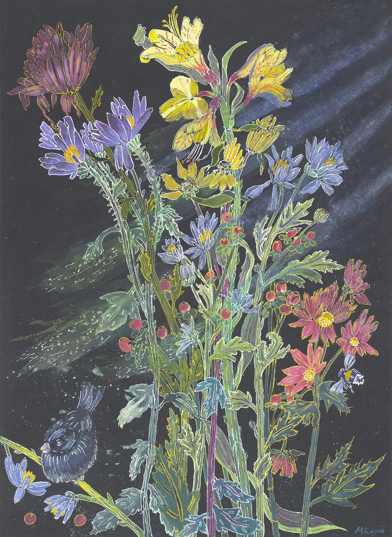 Dark-eyed Junco and Flowers, pen and watercolor on black watercolor paper, 20.5” x 15”, 2026