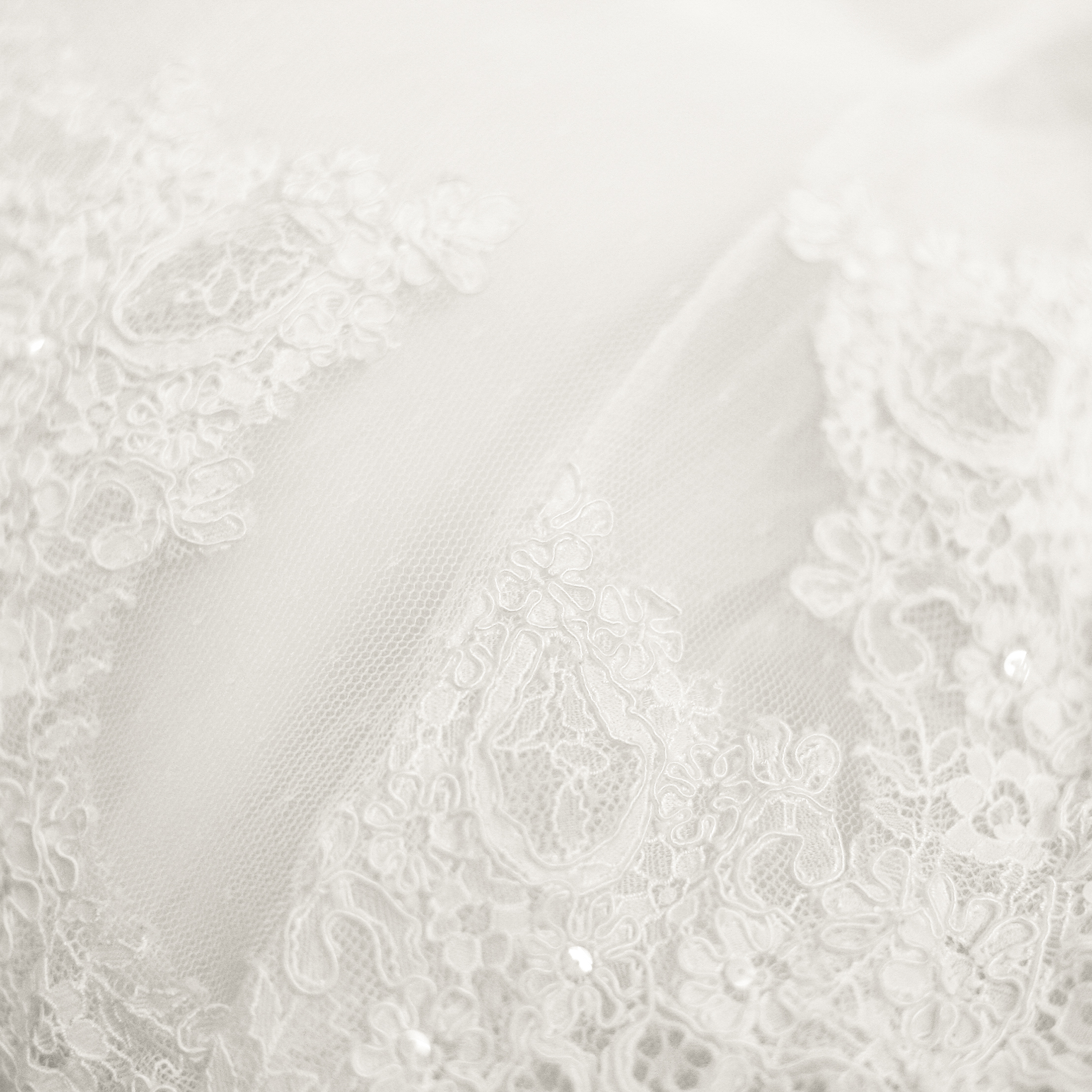 iStock-160578861.jpg