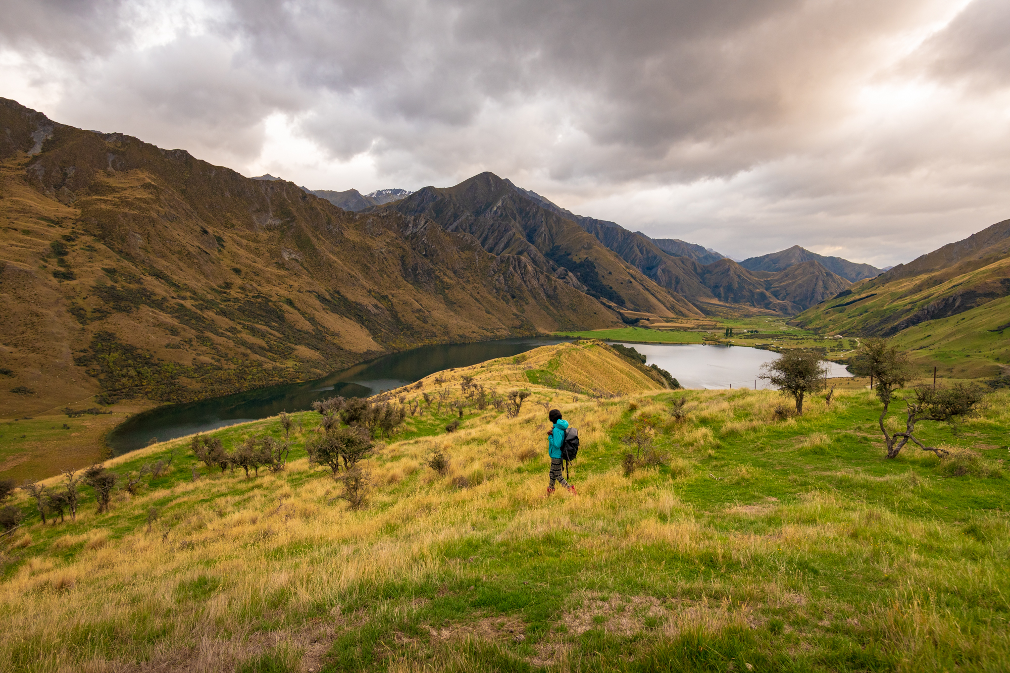 new_zealand_hike.jpg