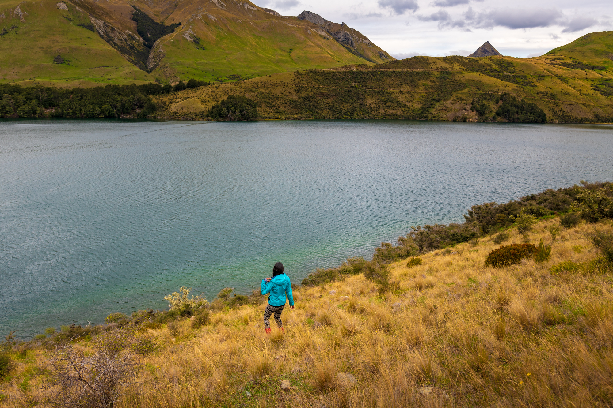 new_zealand_4x4 trip.jpg