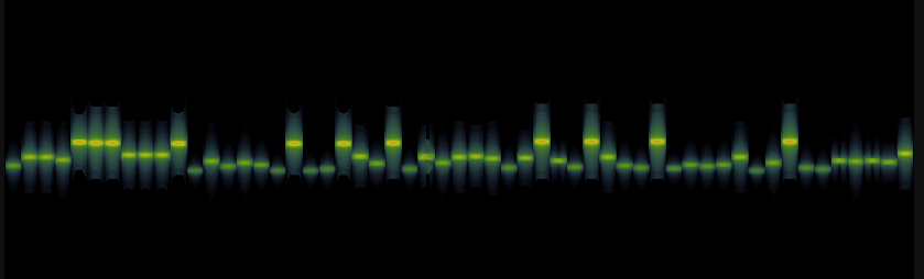 SQRC Spectrogram.jpg
