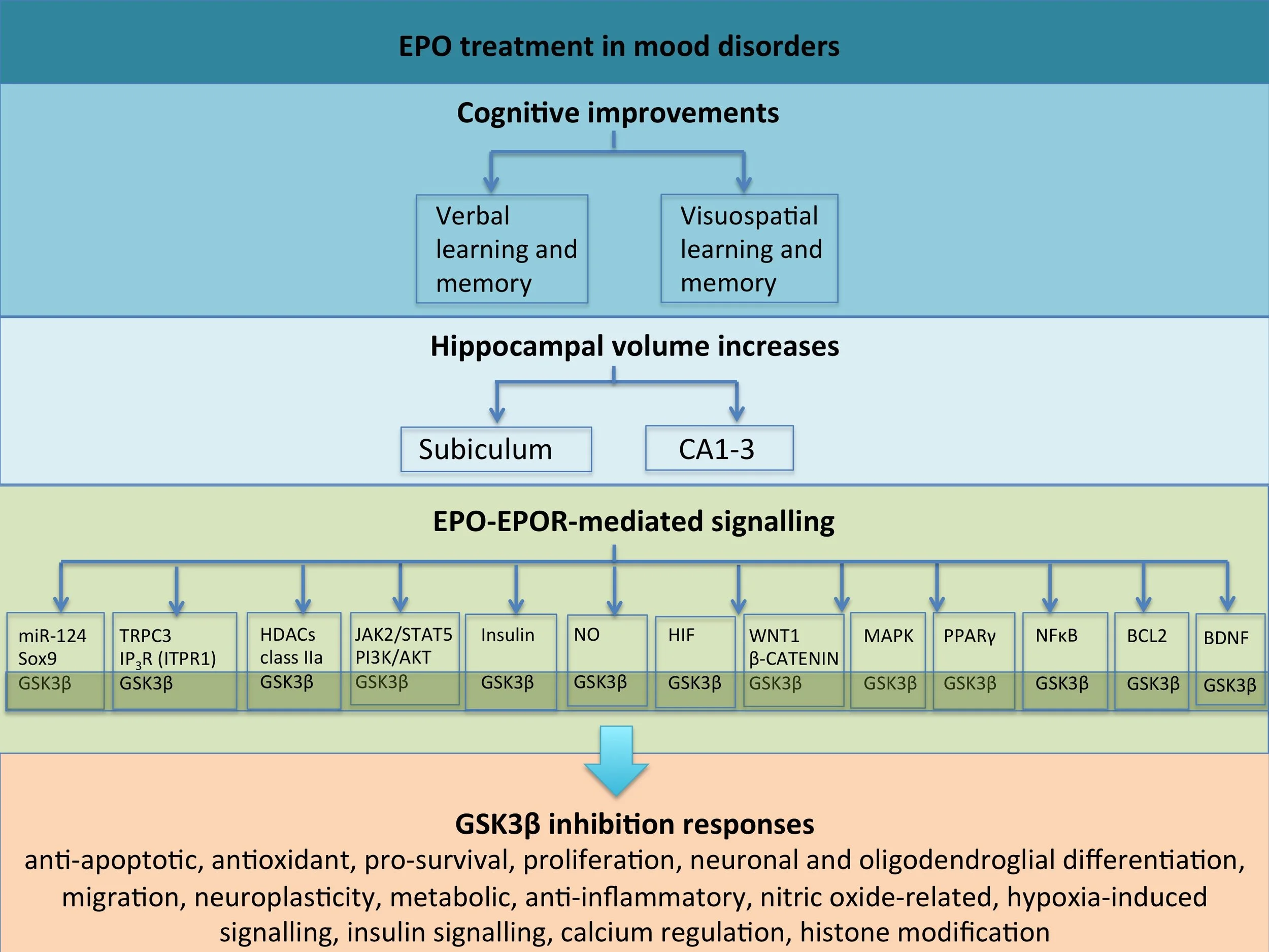 Figure 1 Revised version 11.06.2018.jpg