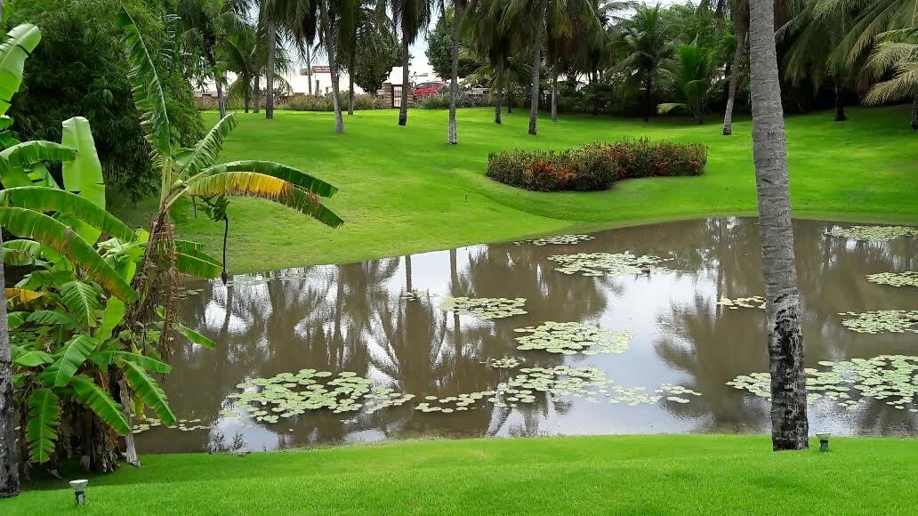 view from bedroom varanda.jpg