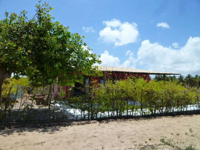 P1030242.JPG