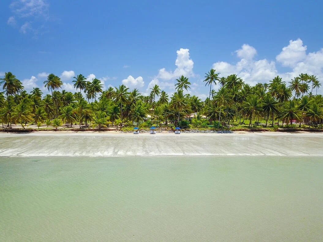 DJI_0554.JPG