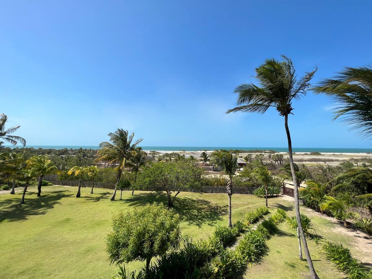 garden at beach house in barrinha-ceara.jpeg