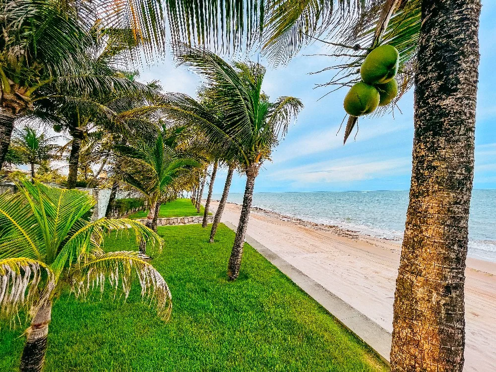 Fotos Imóvel-79.jpeg