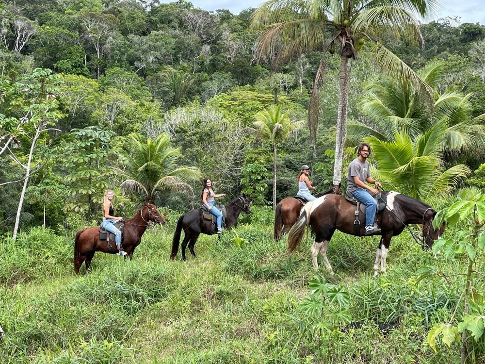 Ranch tourism 60 photos - Guidebookbali.com