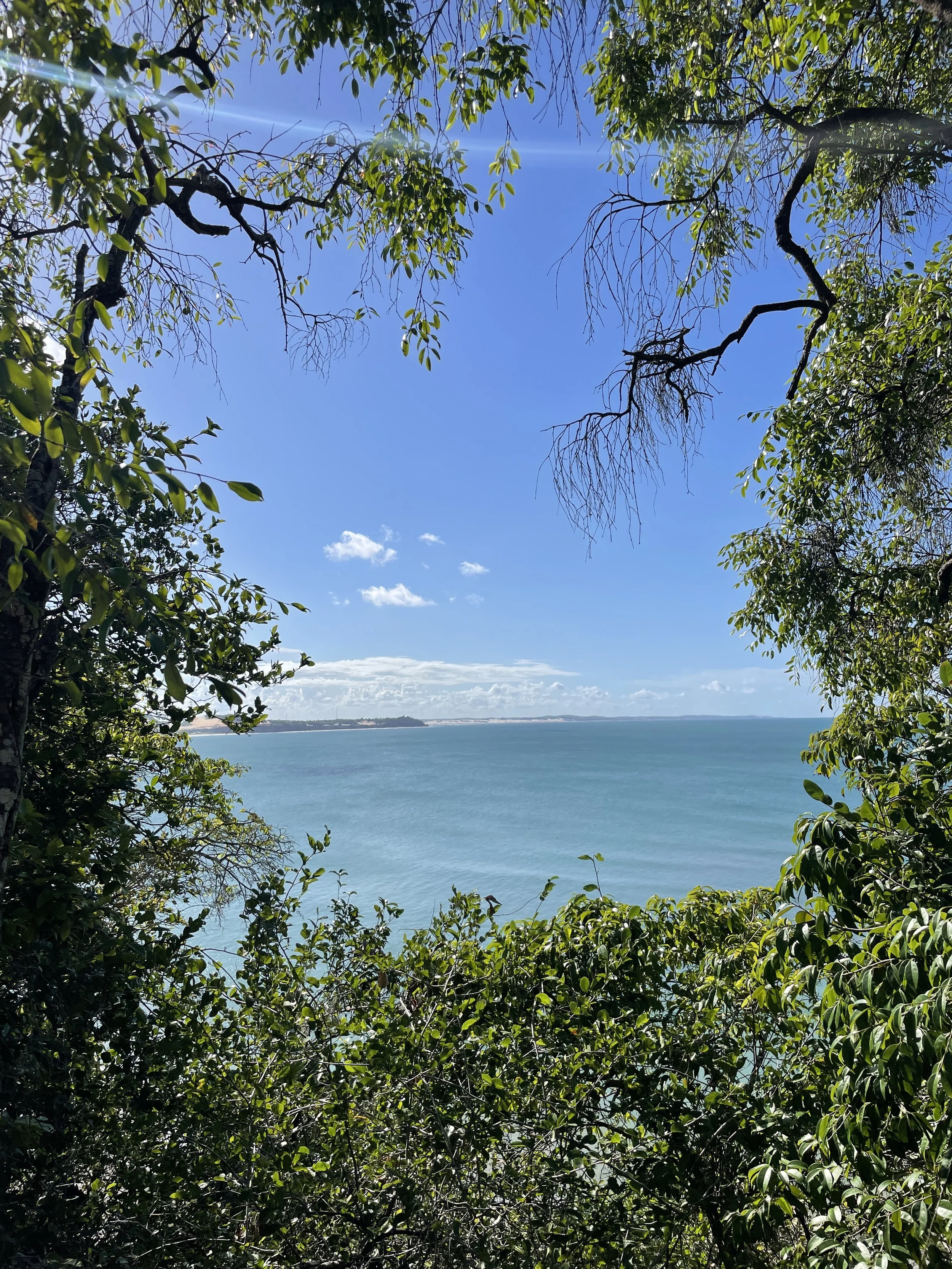 Discover the Charm of Pipa, Brazil: Your Ultimate Guide to Pipa Beach