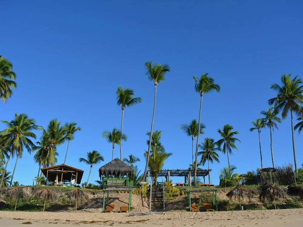 Eco-Friendly Beach Hotel For Sale in Barra Grande-Bahia -R$8 Million