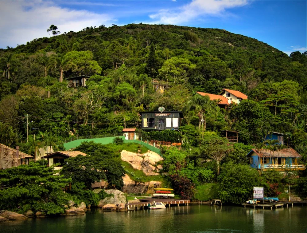 Rosemary From Casa Verde.jpg