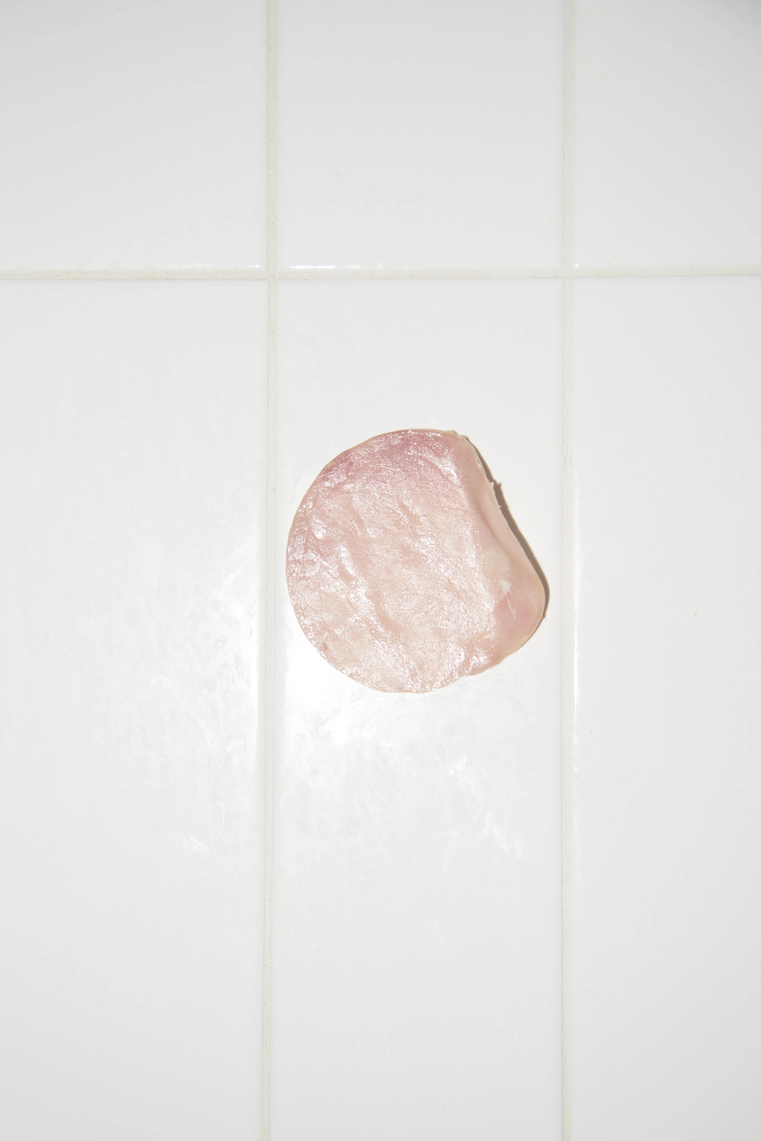 DSC_4990_fun2.jpg