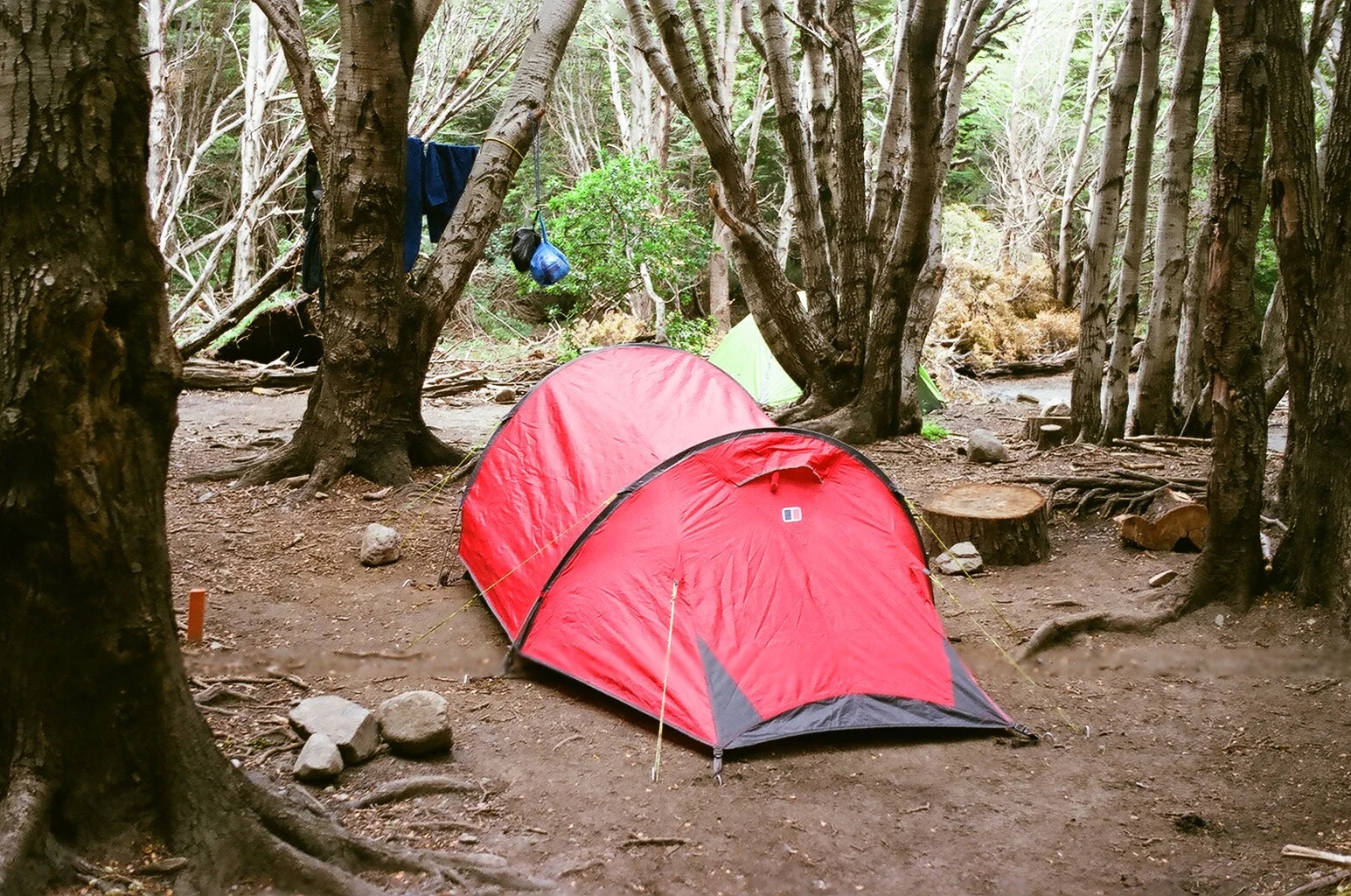 Ali and Mark set up their tent in woods in Patagonia, Argentina.