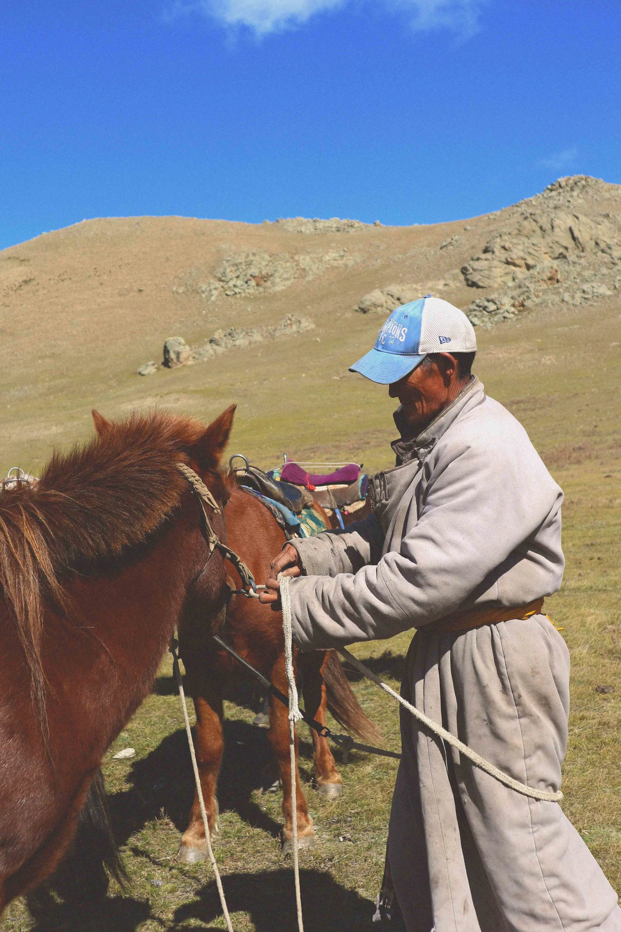 mongolian nomad with his horse in mongolia