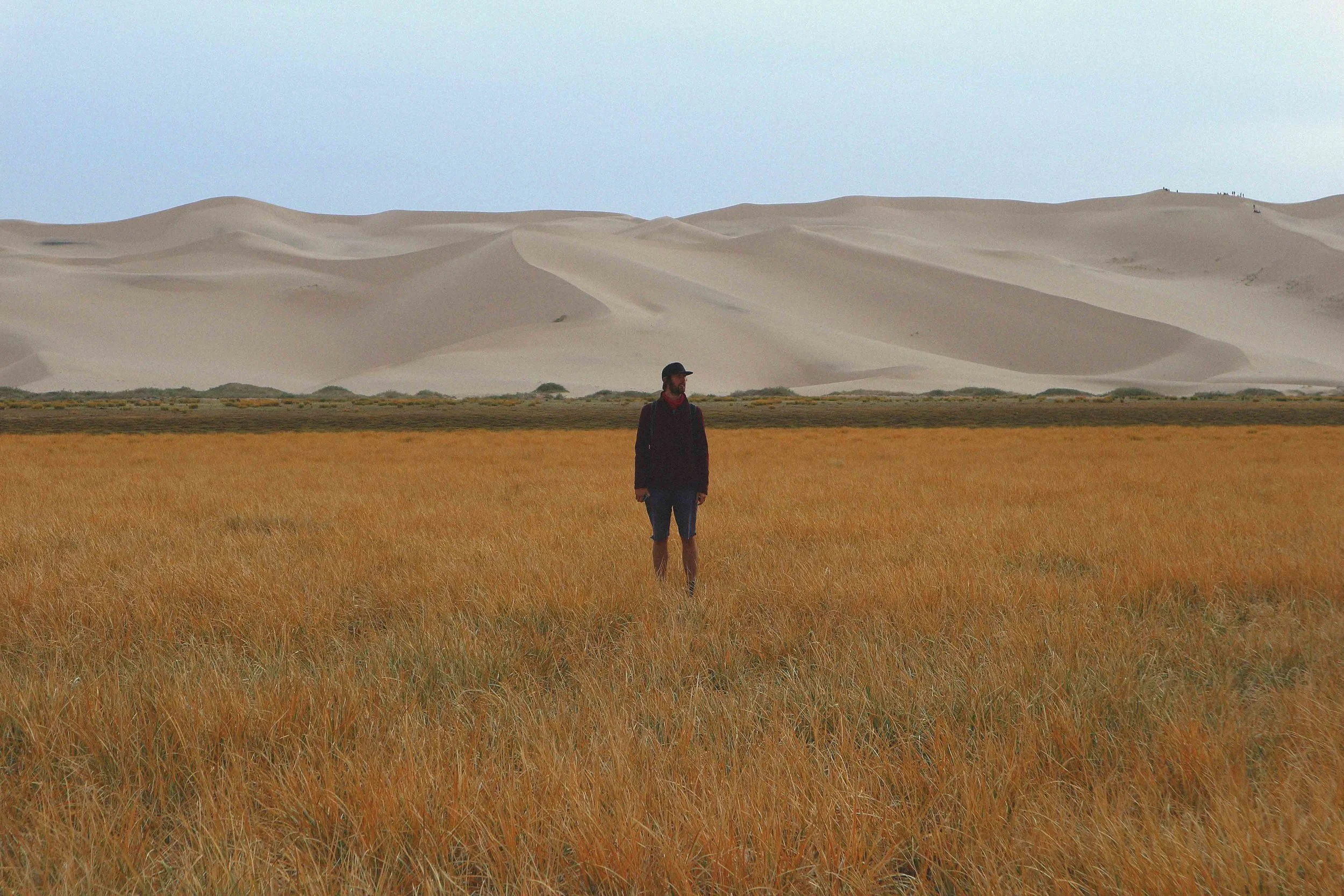 khongor sand dunes in the gobi desert mongolia