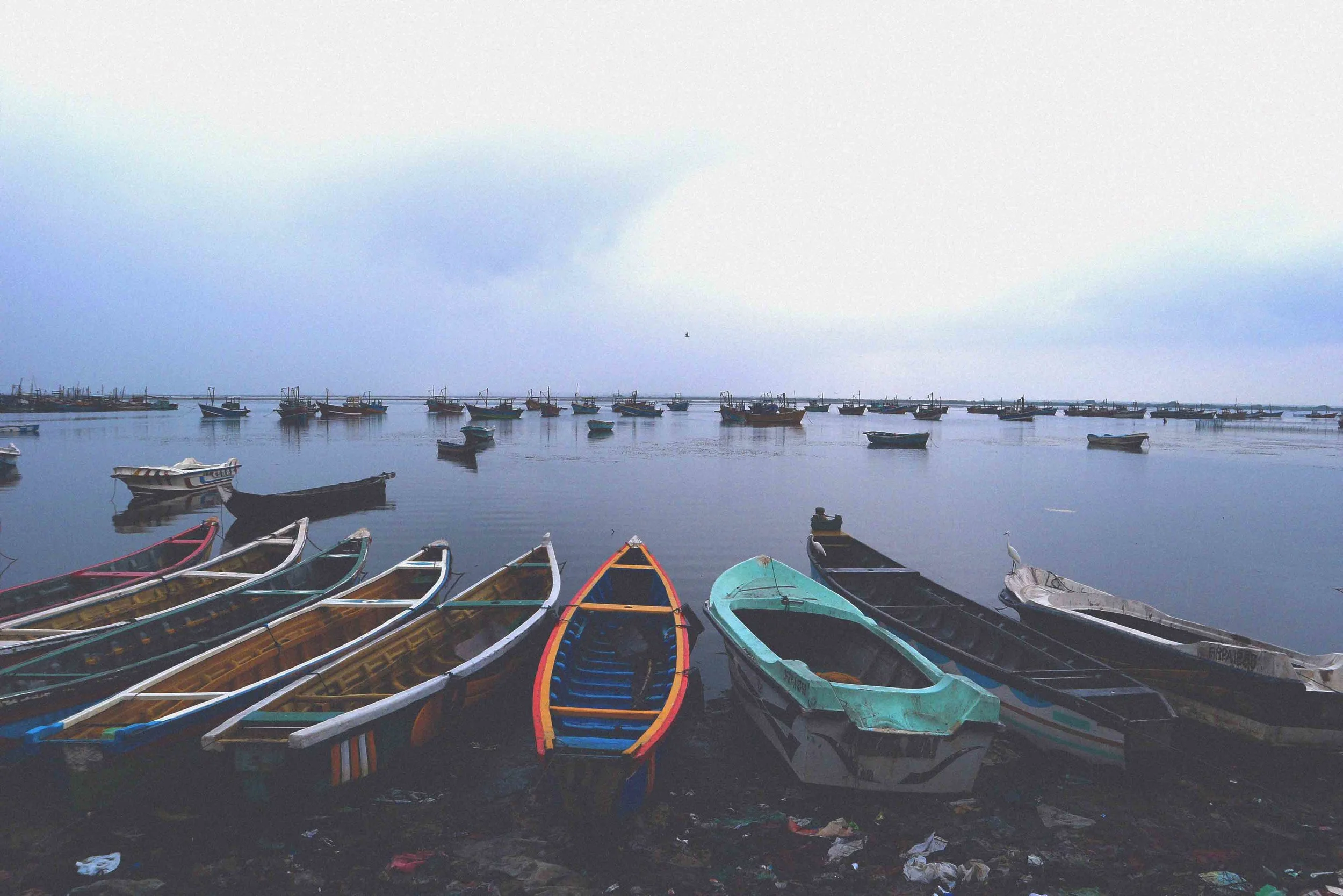 Getting off the beaten track in Jaffna's fishing village
