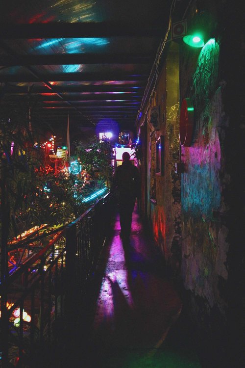 Szimpla Kert by night, palm plants and colourful lighting