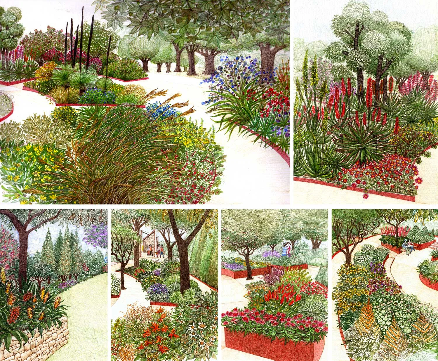 Garden-of-Health-Botanic-Gardens-of-Adelaide.jpg