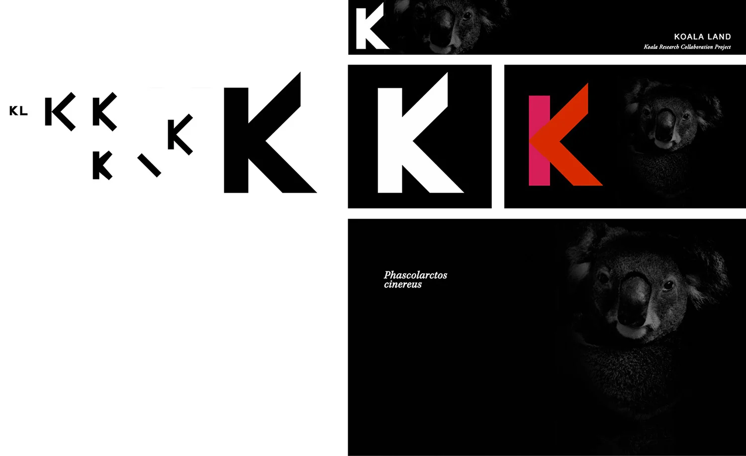 Koala Land identity Supported by the Dreamworld Wildlife Foundation. 2011.