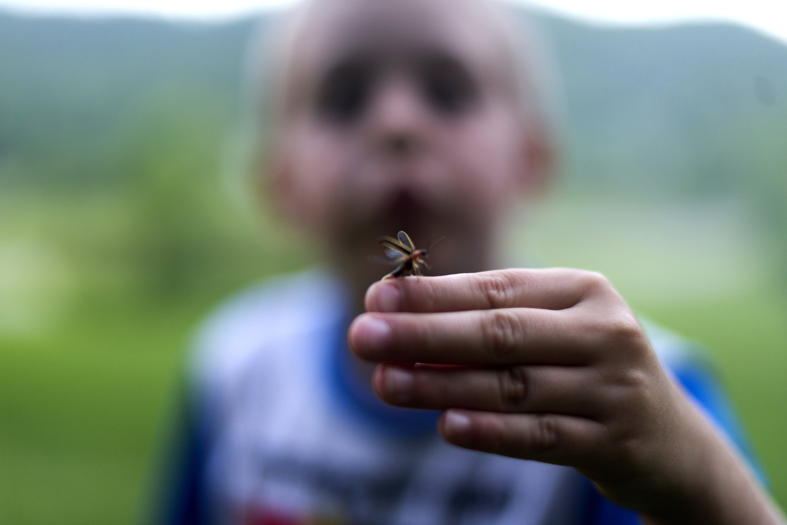  Trey Dockery, 7, blows a firefly off of his fingers in Penrose, North Carolina, in the summer of 2017. 