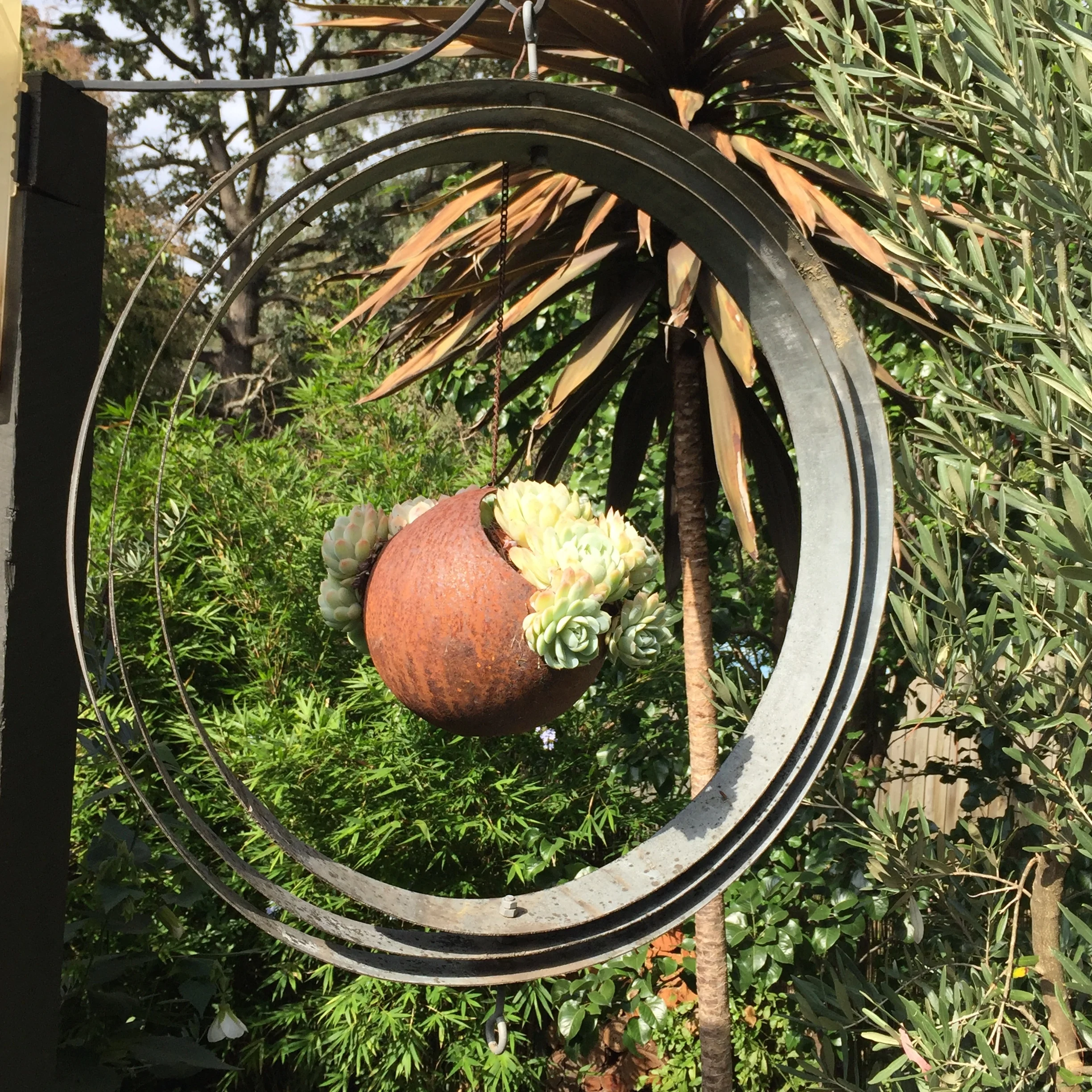 Up Cycling Wine Barrel Rings Into Garden Art Steven Wells The Wine Barrel Rings Into Garden Art