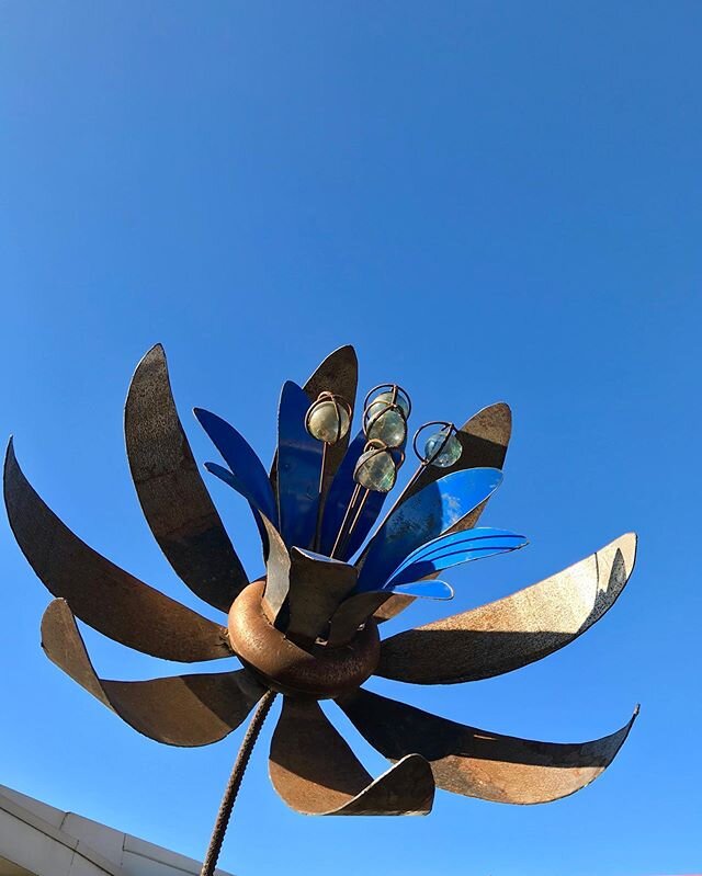 Fun work day today.
Amidst the bare soil a new oversized flower field burst into bloom today in one of my garden projects. 
Taking a little inspiration from &lsquo;The Little Gardener&rsquo; by Emily Hughes the delightful large cobalt blue metal flow