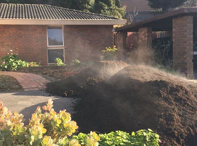 So, the Communal Perennial Patch V1.0 didn&rsquo;t quite go to plan. The clay base resulted in a little bit of moisture pooling! 😬 Oh well, just temporarily remove the plants and bring in more steamy soil and organic compost I say, and more gypsum, 