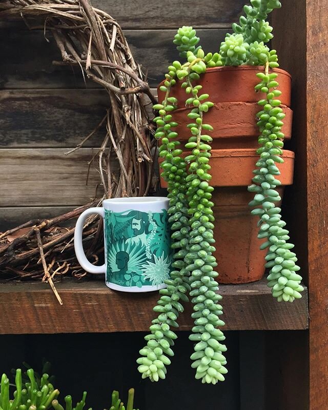 Morning garden walks = coffee mugs left around the garden
#distractedgardener #forgetfulgardener #mustdoaroundupcollection #gardenatNo5 #gardenmeanders #saturdaymorning