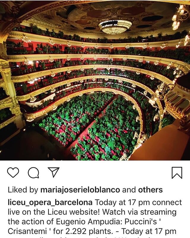 WOW ... if ever I wanted to be a potted plant that would&rsquo;ve been the time and location @liceu_opera_barcelona in Barcelona!! What a fantastic performance and act reaffirming the value of art, music and nature as a roadmap for life returning bac